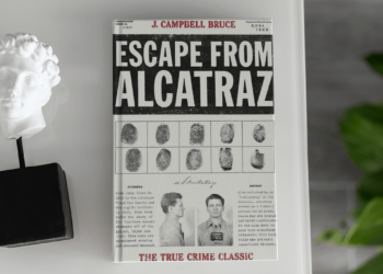 Exploring the Cinematic World of J. Campbell Bruce