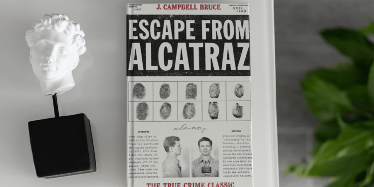 Exploring the Cinematic World of J. Campbell Bruce