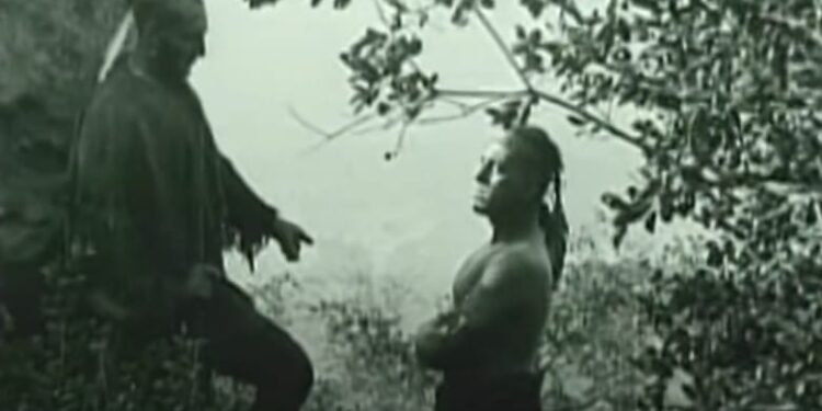 The Last of the Mohicans: Book vs. Film - Summary & Analysis