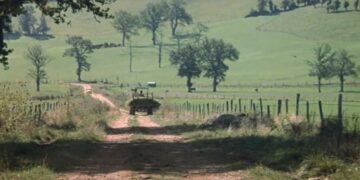 When Words Come Alive: Malevil