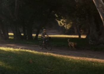 When Words Come Alive: Rascal