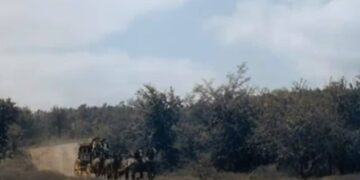 Rock Island Trail: Book vs. Film - Summary & Analysis