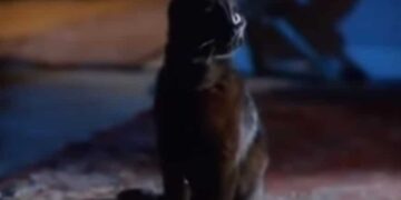 Sabrina the Teenage Witch: Book vs. Film - Summary & Analysis