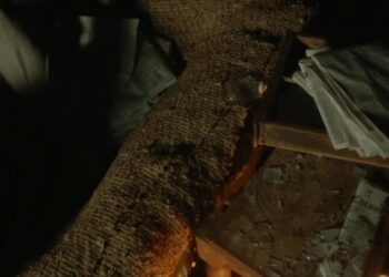 Arthur & George: Book vs. TV Series - Summary & Analysis