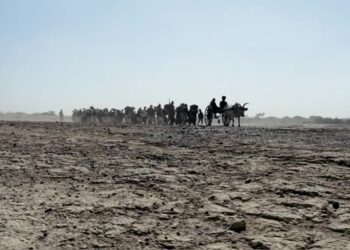 When Words Come Alive: Paradesi