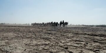 When Words Come Alive: Paradesi