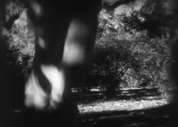 Tarzan the Ape Man: Book vs. Film - Summary & Analysis