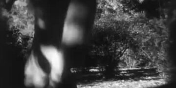 Tarzan the Ape Man: Book vs. Film - Summary & Analysis