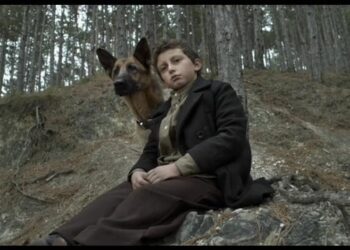 Shepherd: The Story of a Jewish Dog: Book vs. Film - Summary & Analysis