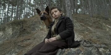 Shepherd: The Story of a Jewish Dog: Book vs. Film - Summary & Analysis