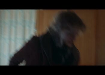 Only the Animals: Book vs. Film - Summary & Analysis