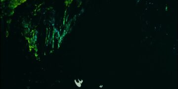 The Twelve Tasks of Asterix: Book vs. Film - Summary & Analysis