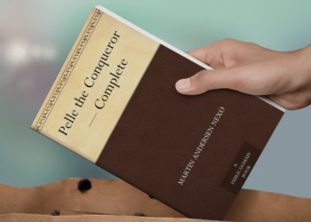 Exploring the Cinematic World of Martin Andersen Nexí¸