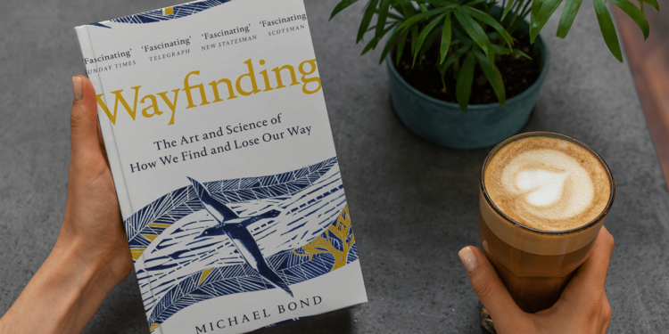 Exploring the Cinematic World of Michael Bond