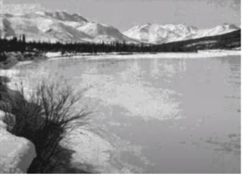 When Words Come Alive: To Build a Fire