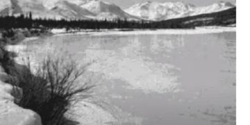 When Words Come Alive: To Build a Fire