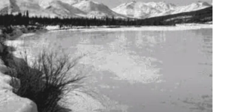 When Words Come Alive: To Build a Fire