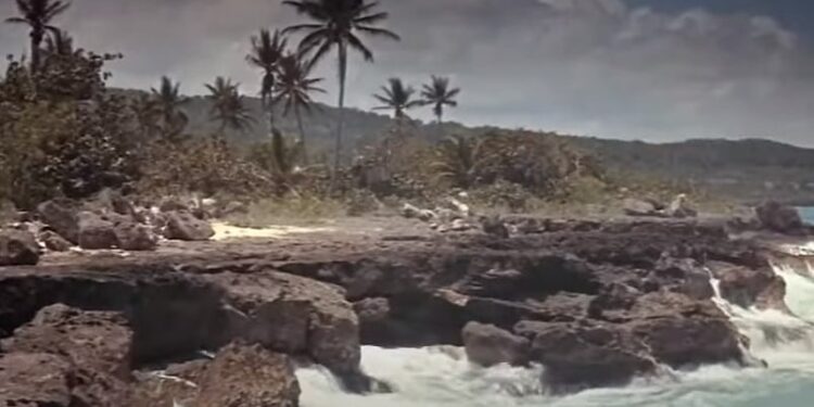 Storm Over Jamaica: Book vs. Film - Summary & Analysis