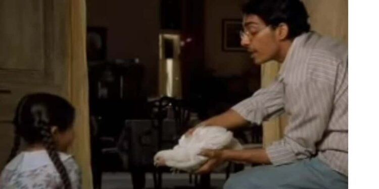 Such a Long Journey: Book vs. Film - Summary & Analysis