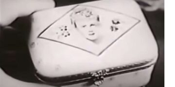 Swiss Family Robinson: Book vs. Film - Summary & Analysis