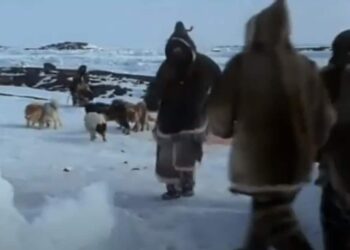 When Words Come Alive: The White Dawn