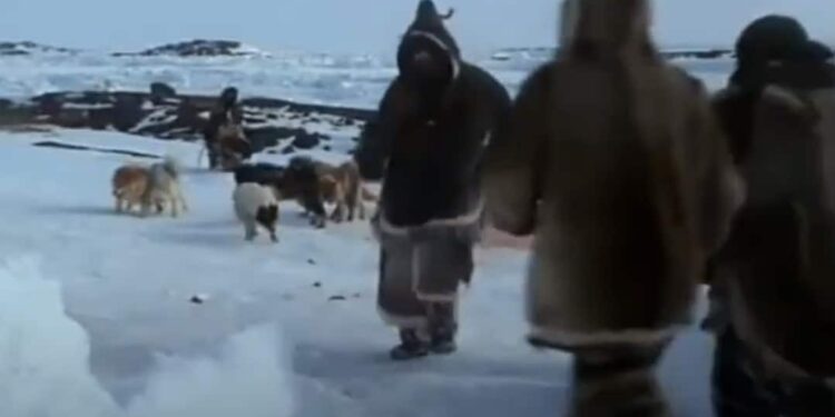 When Words Come Alive: The White Dawn