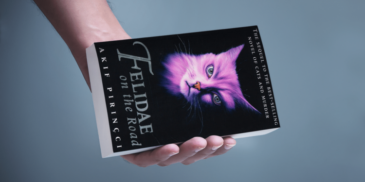 Exploring the Cinematic World of Akif Piriní§ci