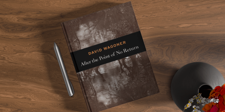 Exploring the Cinematic World of David Wagoner