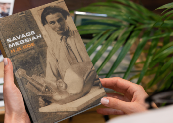 Exploring the Cinematic World of H. S. Ede