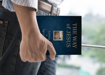 Exploring the Cinematic World of Jay Parini