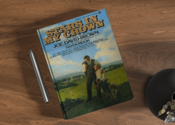 Exploring the Cinematic World of Joe David Brown