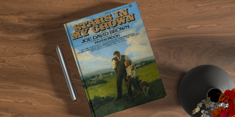 Exploring the Cinematic World of Joe David Brown