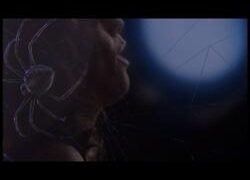 When Words Come Alive: Charlotte's Web