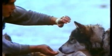 When Words Come Alive: White Fang