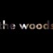 The Woods: Book vs. TV Series - Summary & Analysis