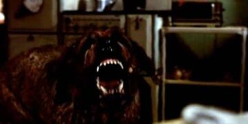 When Words Come Alive: Cujo