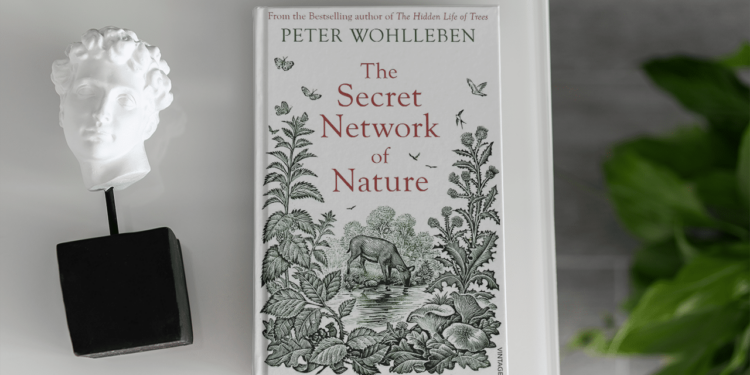 Exploring the Cinematic World of Peter Wohlleben