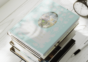 Exploring the Cinematic World of Sachiko Kashiwaba