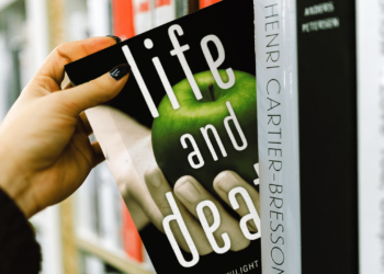 Exploring the Cinematic World of Stephenie Meyer