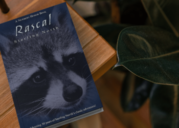 Exploring the Cinematic World of Sterling North