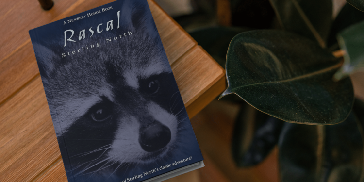 Exploring the Cinematic World of Sterling North