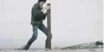 When Words Come Alive: Cal