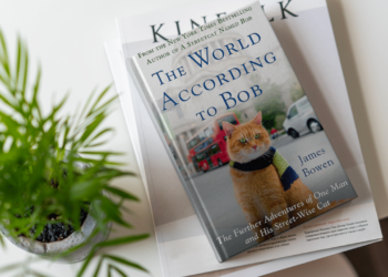 Exploring the Cinematic World of James Bowen