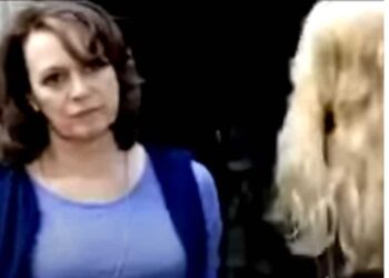 The Little House: Book vs. TV Series - Summary & Analysis