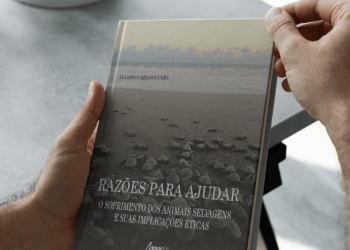 Exploring the Cinematic World of Luciano Cunha