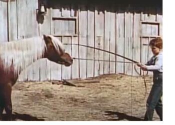 When Words Come Alive: The Red Pony
