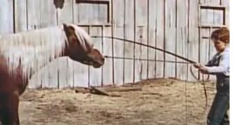 When Words Come Alive: The Red Pony