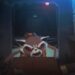 Rocket & Groot: Book vs. TV Series - Summary & Analysis