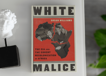 Exploring the Cinematic World of Susan Williams