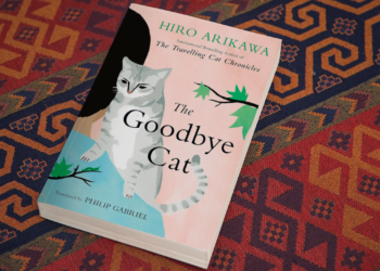 Exploring the Cinematic World of Hiro Arikawa